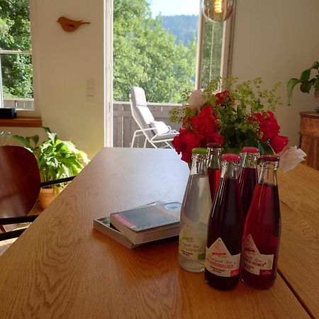 Waelder: Quartier Haus Im Glueck Villa St. Blasien Eksteriør bilde