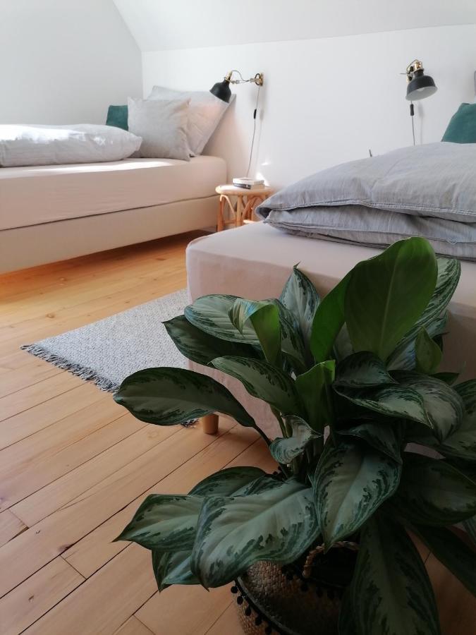 Waelder: Quartier Haus Im Glueck Villa St. Blasien Eksteriør bilde
